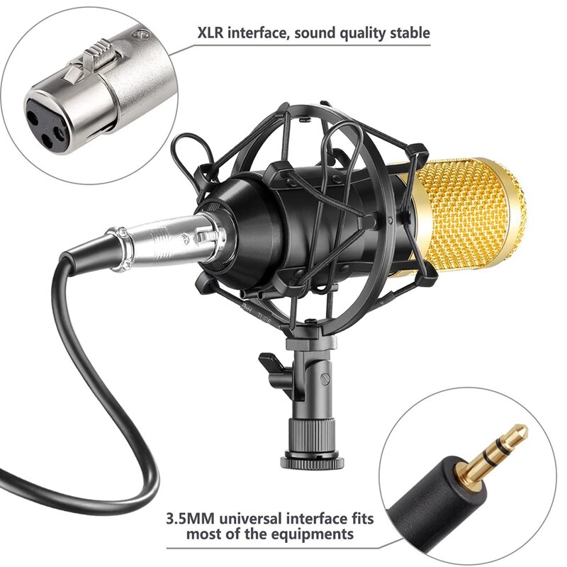 Studio Broadcasting & Recording Microphone Set Including Condenser Microphone