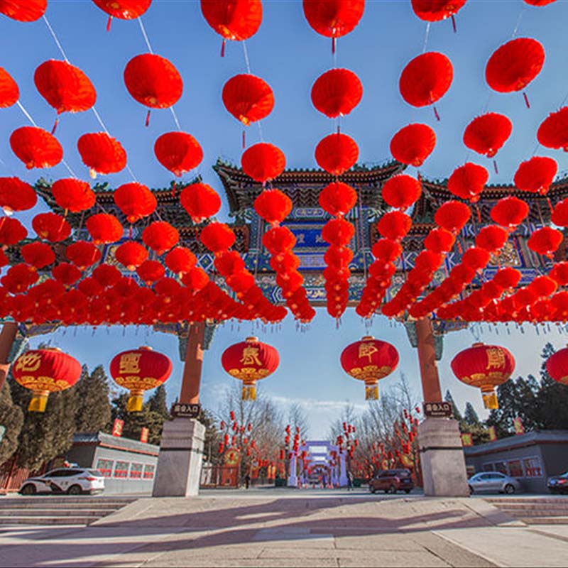 Chinese Year Decoration Party Outdoor Lantern Wedding Waterproof Red Plastic Paper Lanterns Traditional Festival Home Decor