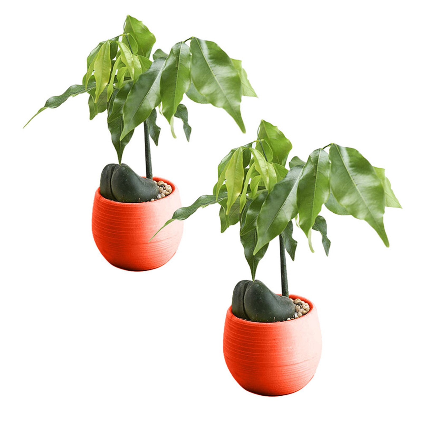 Watering Planter Handmade 2 Layer Self Watering Plant Flower Pot With Water Container Round Flowerpot Home Garden Decor