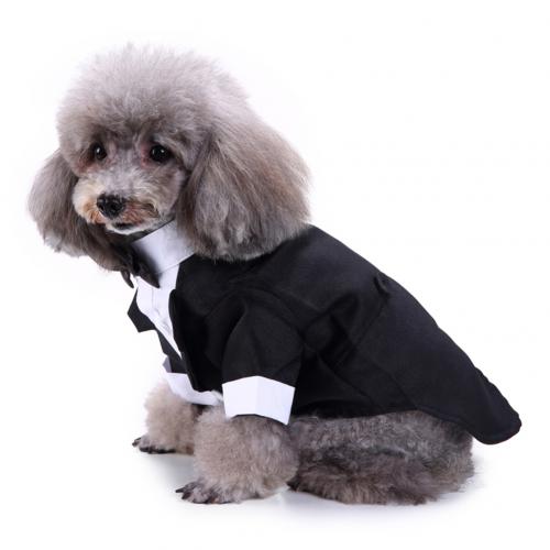 Estilo británico mascota perro boda Formal pajarita esmoquin traje chaqueta novio traje ropa