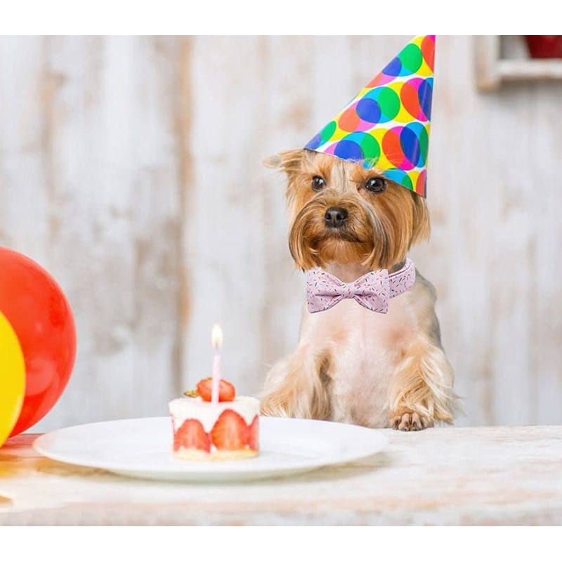 Unieke Stijl Poten Katoen Halsband Met Bowtie Roze Verjaardag Puppy Kraag Voor Kleine Medium Grote Hond