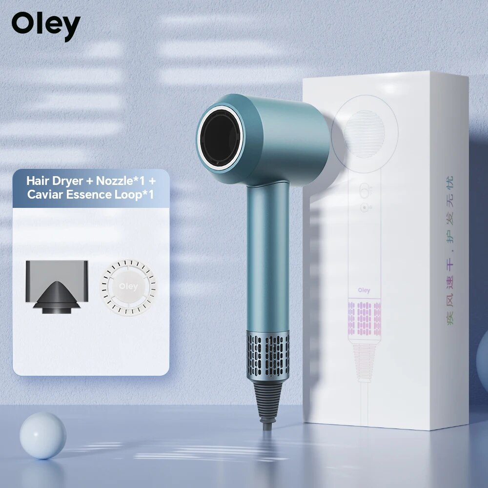 Oley-secador de pelo eléctrico, anión de secado rápido, cuidado del cabello, electrodomésticos de alta velocidad, herramientas de estilismo para el cuidado Personal, multifunción: plum / Reino Unido