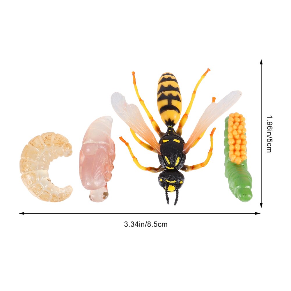 1 Set/4Pcs Simulatie Insect Evolution Model Wesp Groei Cyclus