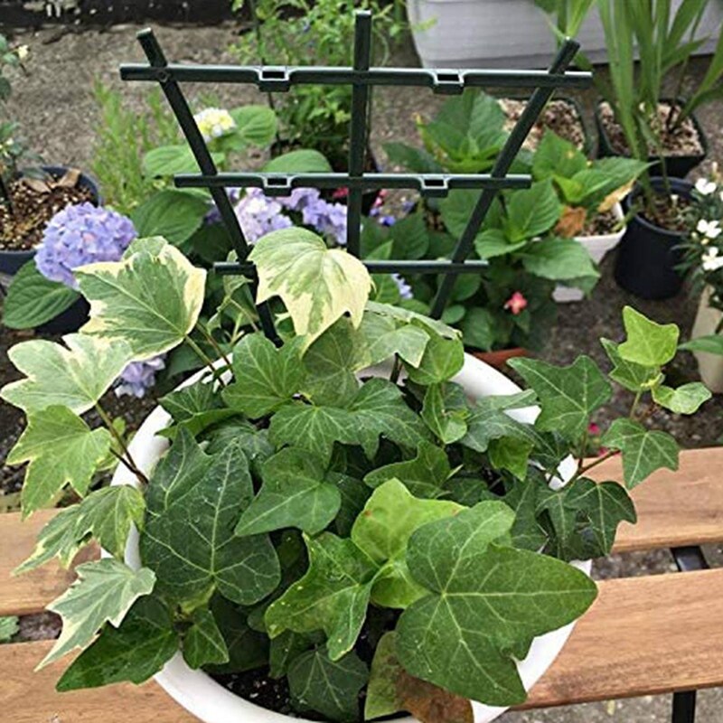 6Pcs Grid for Indoor Plants, DIY Garden Plant Support & 8Pcs Mini DIY Leaf Shape Garden Trellis Plants Supports