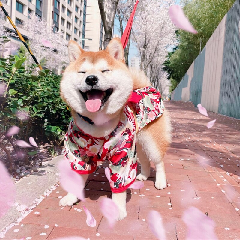 Festival formel chien de compagnie Costume National pour petits chiens moyens Style japonais chiot chat vêtements bouledogue français Shiba Inu Kimono