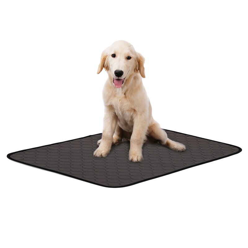 Reusable Dairy Diapers for Dog Urine Absorbent Mat Water Absorbency Diaper Sleeping Bed for Small Dog Puppy Training Pad: Gray / S