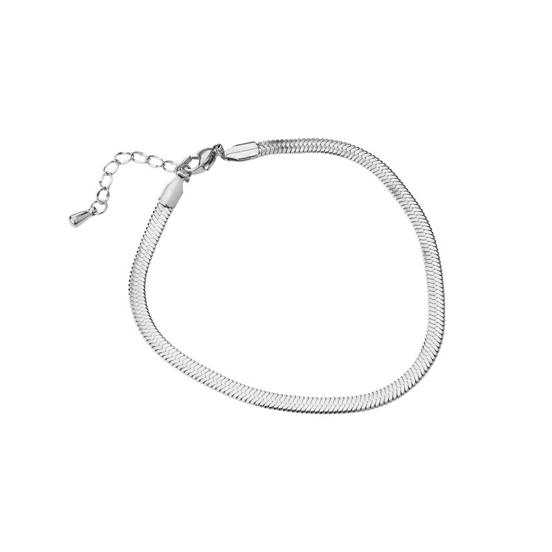 Stainless Steel Snake Link Chain Bracelet Flat Blade Bracelet for Women Punk Simple Charm Gold Silver Color Jewelry: silver plated