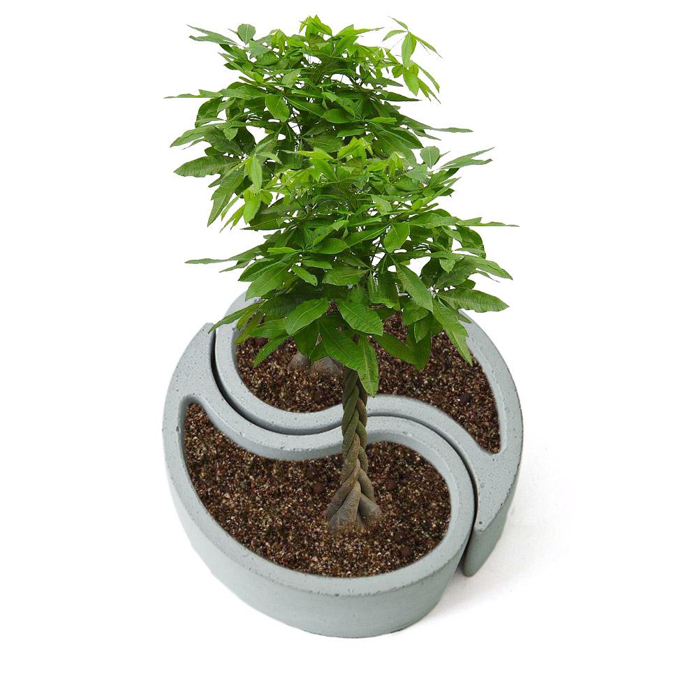 Silicone Mold Eight Diagrams Model Concrete Tabletop Composite Flowerpot Succulent Plant Cement Pot Vase Garden Decoration