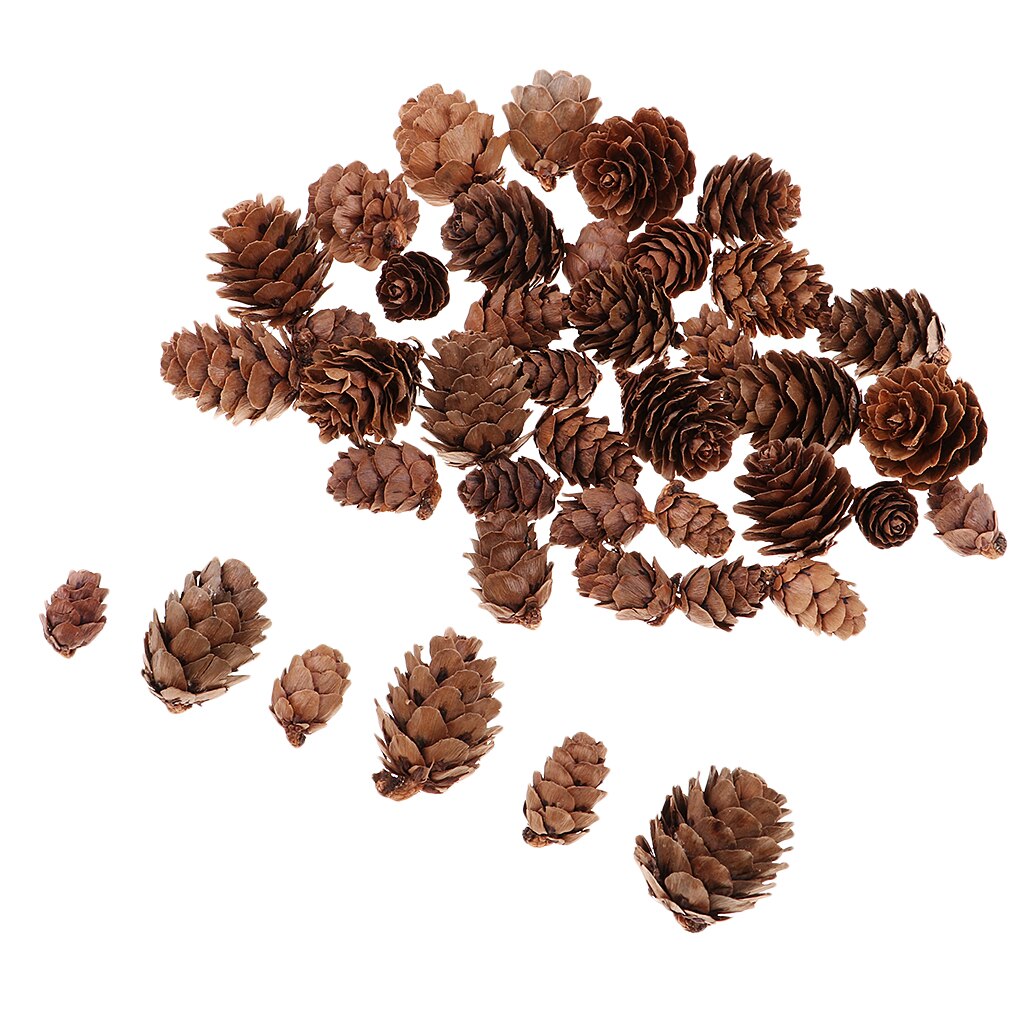 50 Pcs Decoratieve Dennenappels Ongeparfumeerde Voor Fall Winter Thuis