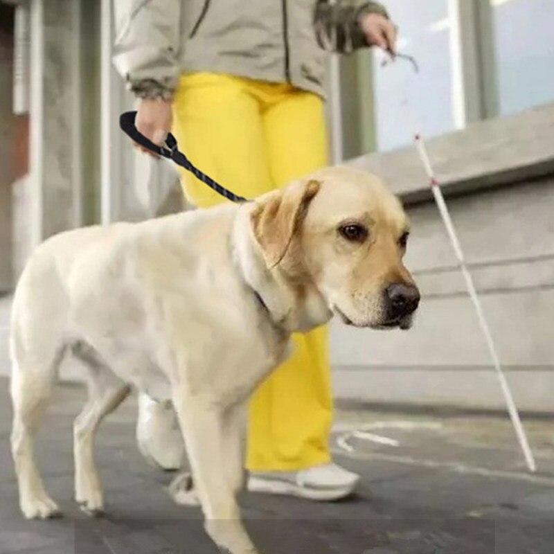Correa reflectante para perros grandes, correa corta reflectante para caminar, andador de perros a prueba de explosiones, mango suave, suministros para mascotas grandes