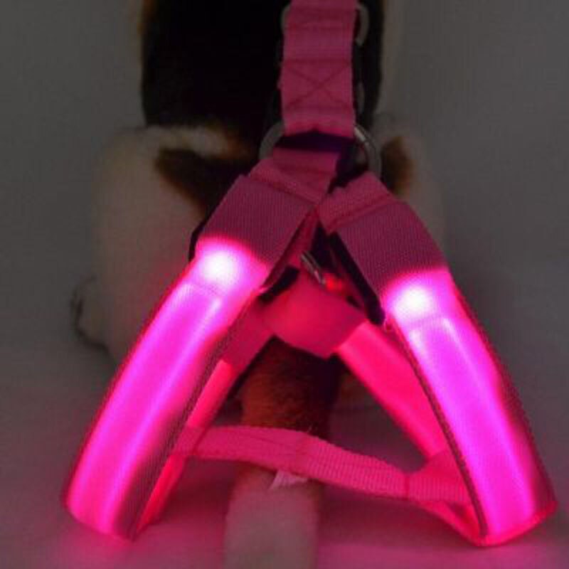 Collier Fluorescent en Nylon pour Chien, accessoire lumineux de nuit, lumière LED, harnais pour Chihuahua, Pitbull, EE5QY