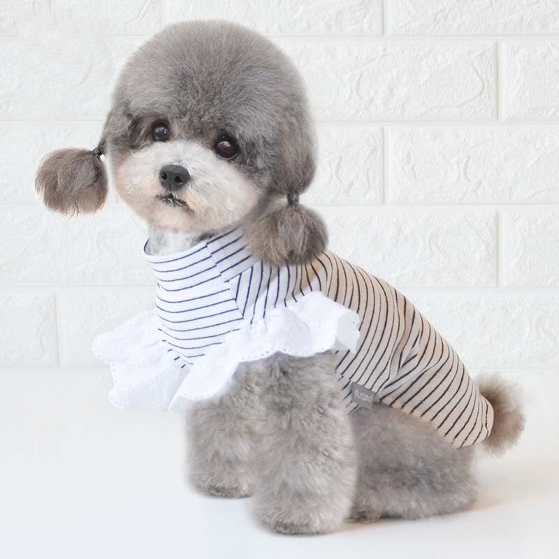 Vêtements pour chiens printemps et été vêtements pour chiens vêtements pour animaux de compagnie petit chien vêtements chien vêtements de fond chiot vêtements quatre saisons