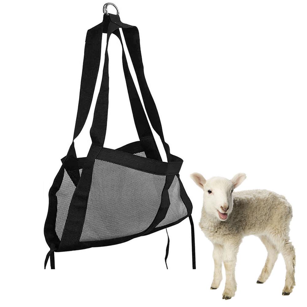 Eslinga ajustable de nailon grueso para aves de corral, eslinga de pequeña escala para granja, pesaje fijo para animales de granja: 50 x 31 cm