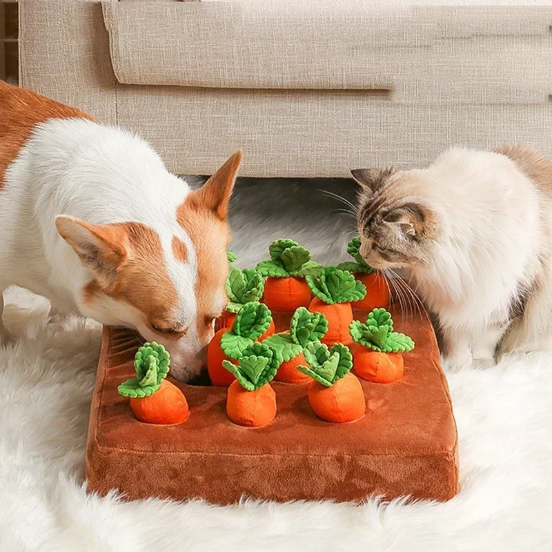 Jouets en peluche innovants pour animaux de compagnie, jouets interactifs pour chiens, polymères de carotte, champ végétal, radis nervuré