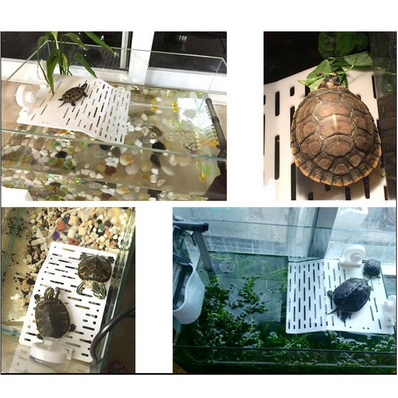 1 stk plast skildpadde dekoration bask platform crawler sol tagterrasse ø skildpadde klatre hylde akvarium værktøjer