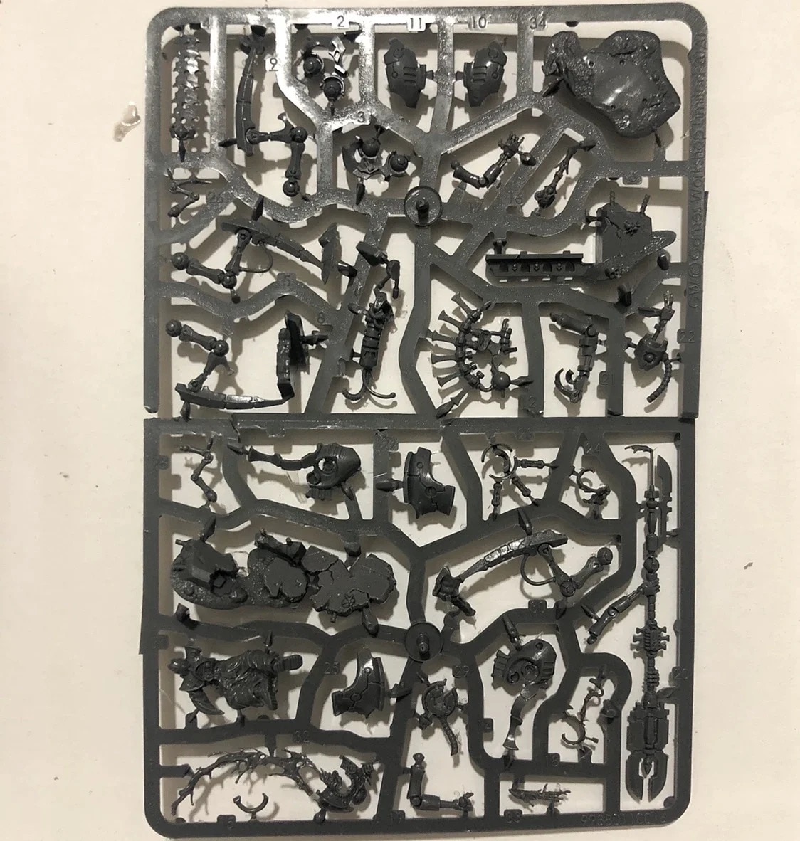 Z0214 Illuminor Szeras
