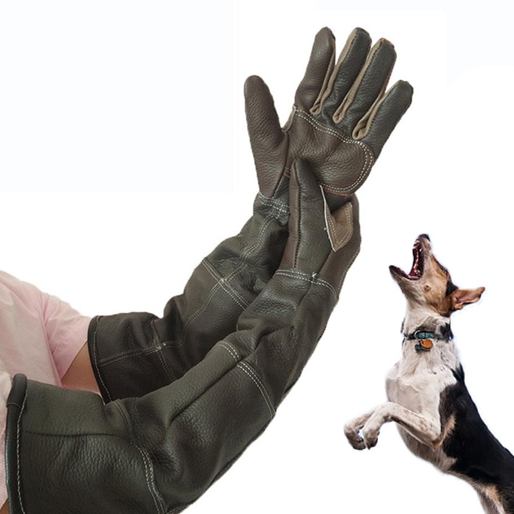 Neue Haustier Handschuhe Leder Anti-greifen Anti Biss Schutz Handschuhe Für Katze Hund Und Gartenarbeit Arbeit Handschuhe Haustiere Ausbildung fütterung: Ursprünglich Titel