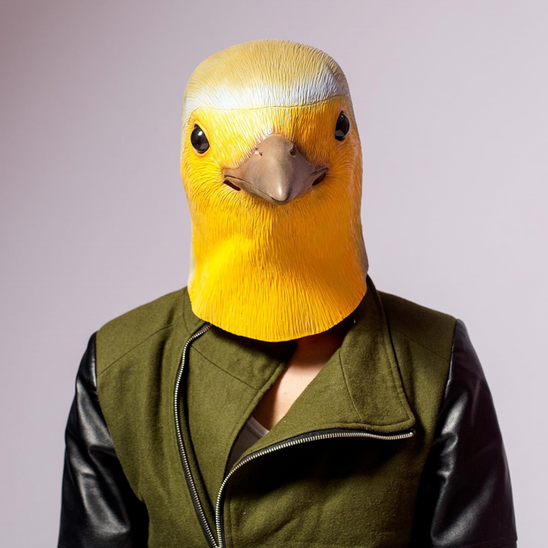 Nouveauté masque d'oiseau capuche en Latex Animal aigle Pigeon oiseau casque Halloween Costume carnaval Cosplay fête Zoo mascarade accessoires