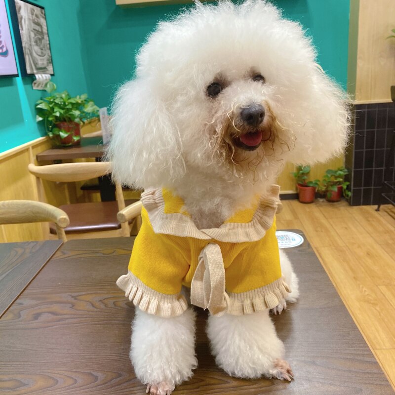 Costume per cani di piccola taglia moda carino abbigliamento per cani abbigliamento per cani cappotto per maglione gatto Chihuahua York pomerania Shih Tzu cucciolo di barboncino malese abbigliamento