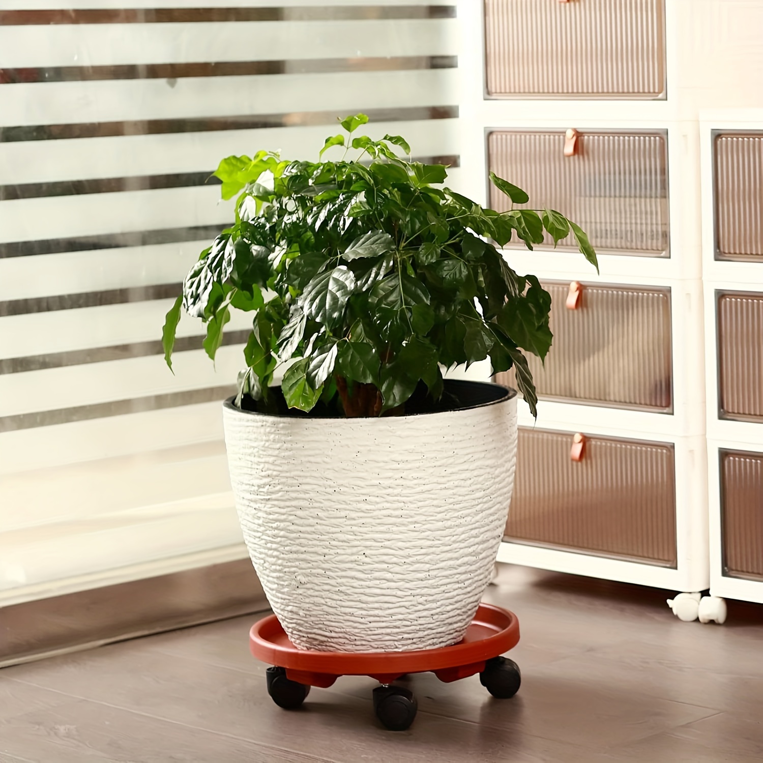 Großer runder Pflanzen-Caddy mit Rädern, 30 cm rollende Pflanzenständer, robuster Kunststoff-Pflanzenroller, Basis, Topfbeweger, Blumentopfständer
