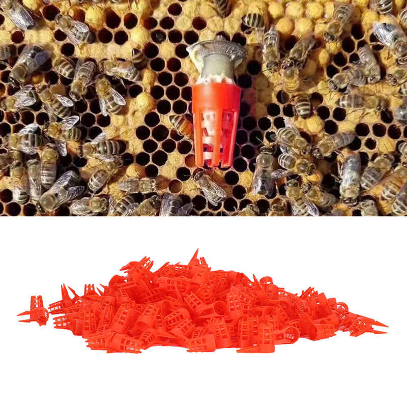 Topincn 250Pcs Plastic Opening Bee Queens Kooi Beschermende Mobiele Cover Bijenteelt Gereedschap Levert Insecten Doos