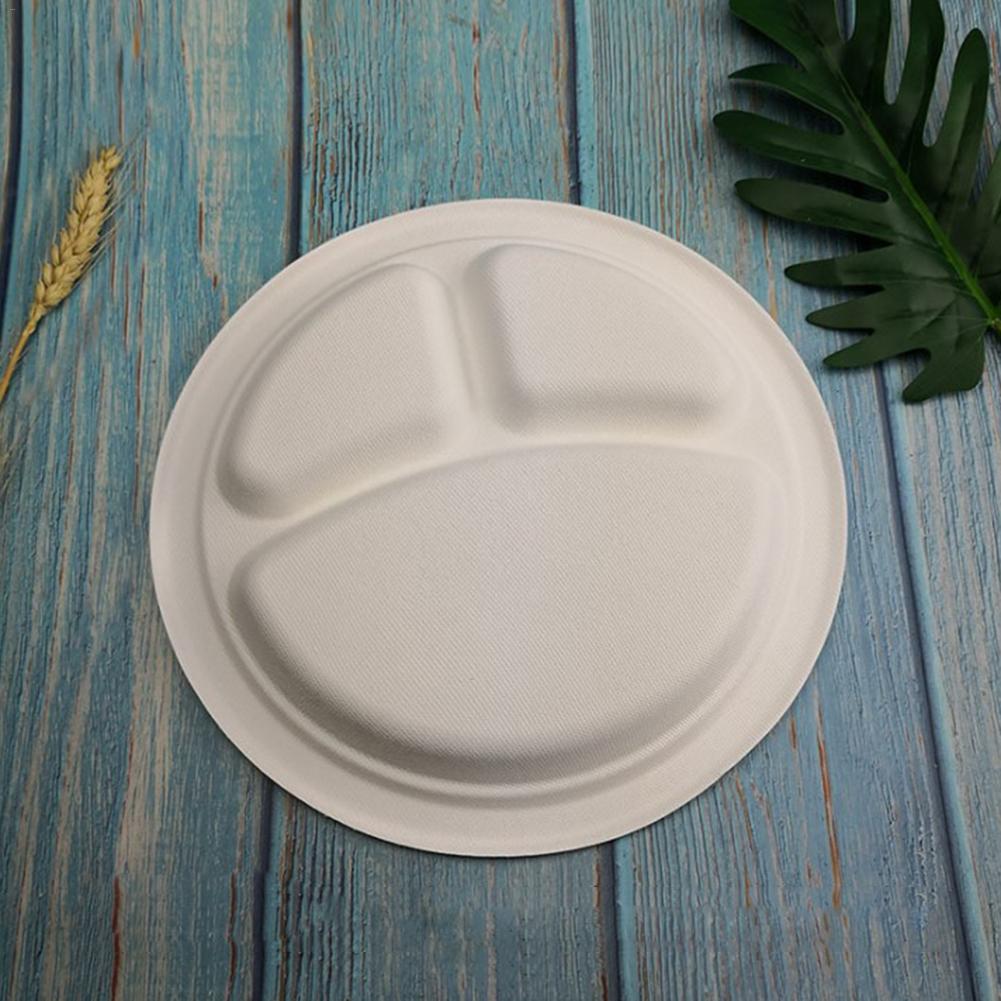 100Pcs/lot Disposable Paper Plate Cake Partition Environmental Protection Cup Original Site Sugar Cane Pulp Plates Generous 10in