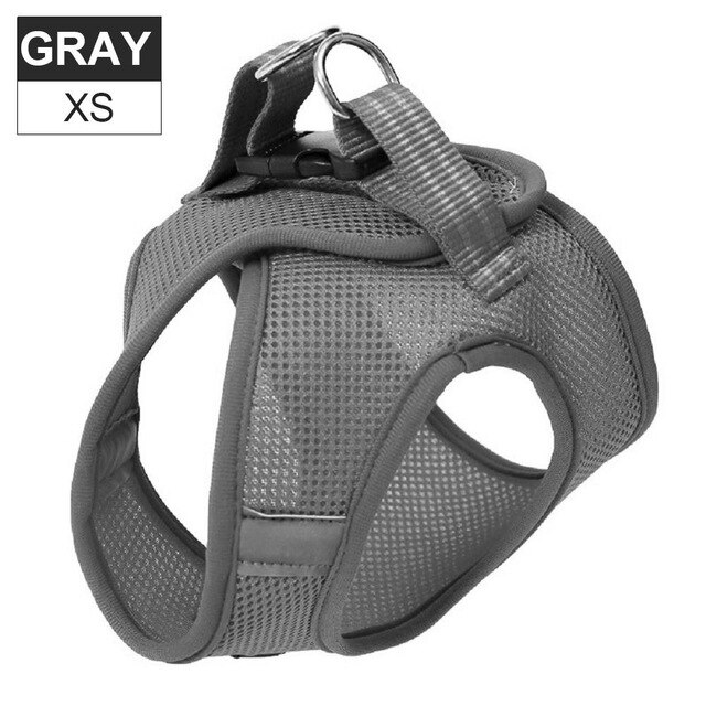 Harnas strepen verstelbaar super kattenharnas ademend jack zacht en comfortabel harnas met reflecterend xs oranje raster: 16