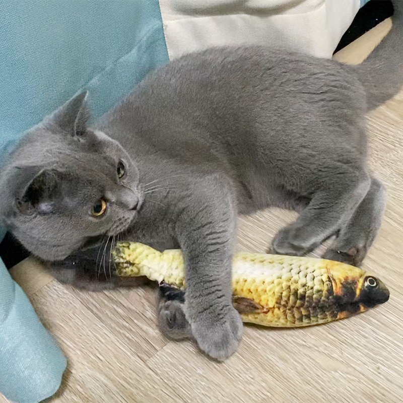 Jouets électroniques pour chats, poisson à l'herbe à chat, contrôle tactile, amusants, rechargeables, anti-stress, pour chats, chatons, chiens, produits pour animaux de compagnie