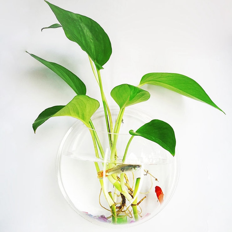 Ściana ryba ściana bąbelkowa wisząca miska przezroczysty akrylowy kwiat w wazonie donica na rośliny akwarium