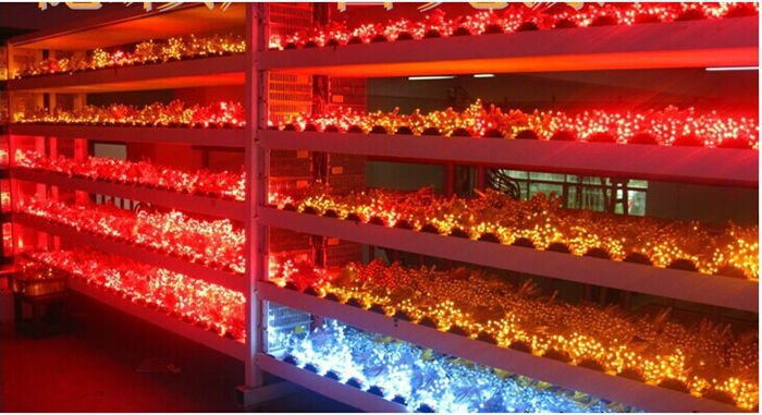 Led reklame brevkæde lampe / led pixel modul lys, enkelt farve, diameter 9mm,  dip led, vandtæt , dc5v, 500 stk/parti
