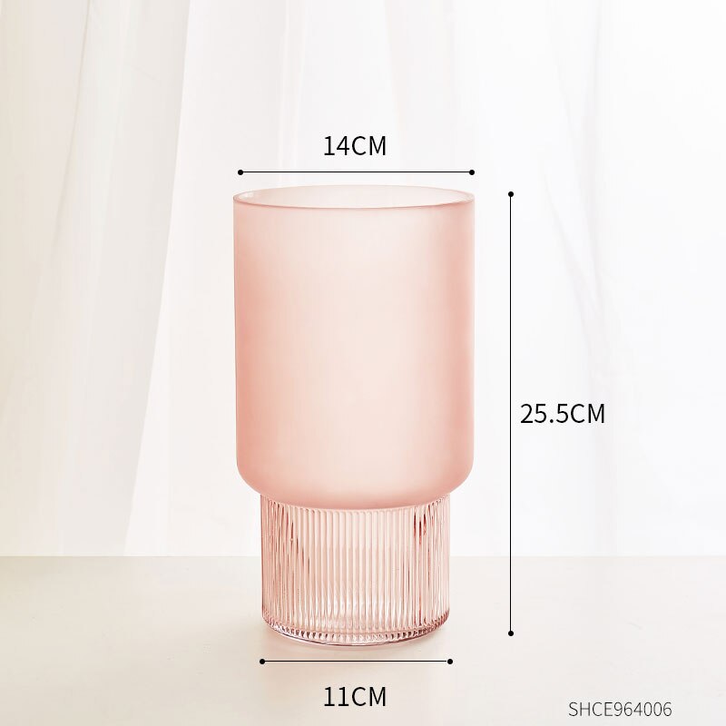 Eenvoudige decoratie van gematteerde glazen vazen, transparante vazen, scandinavische interieurdecoratie, inzetstuk voor thuis, bloemenknutsels: C