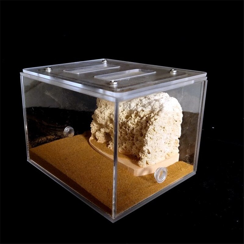 Sand Included Bionic Acrylic &amp; Gypsum Ant Nest Housing Ants Farm Formicarium For Ant Colony