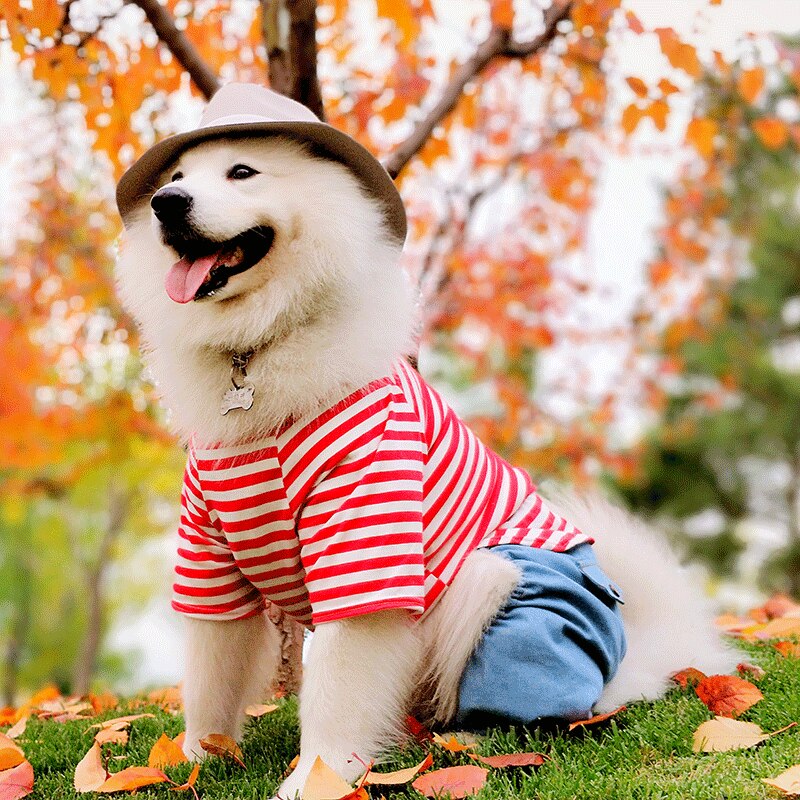 Large Dog Clothes Winter Big Dog Clothing Jumpsuit Coat Samoyed Husky Labrador Golden Retriever Costume Pants Pet Outfit