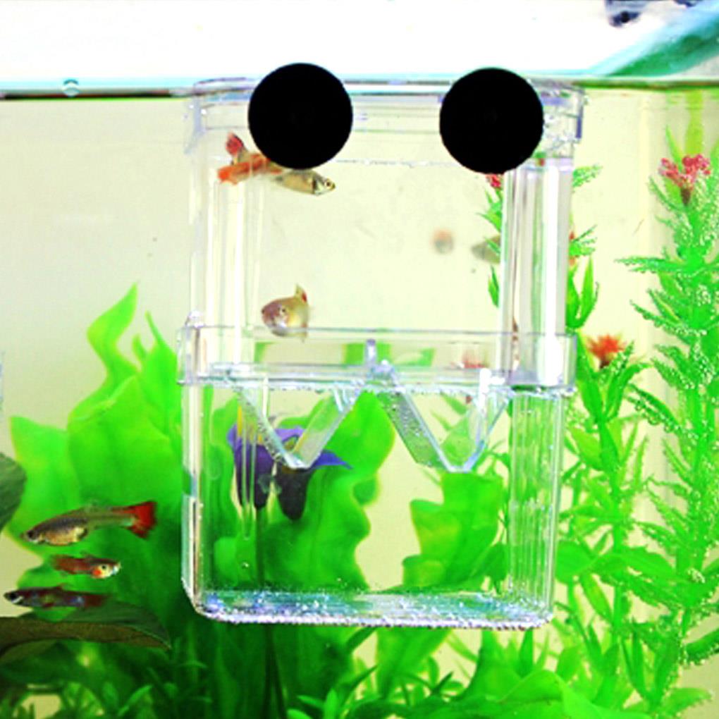 Aquarium Fish Breeder Box High Clear Double Hatching Incubator Hatchery Isolator Breeding Isolation Box Fish Tank Turtle Reptile