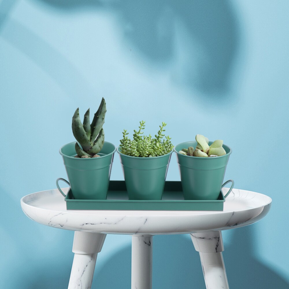 3pcs Garden Planters Flower Pot with 1pc Tray Herbs Succulents Utensil Holder