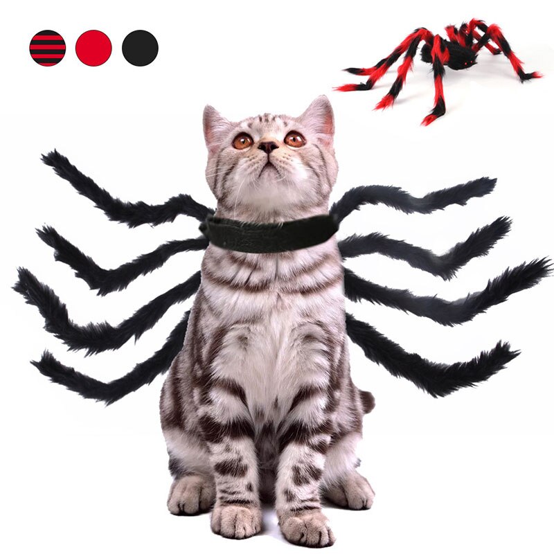 Halloween spinnenkostuum voor honden en katten halloween spinnenkostuum voor huisdieren
