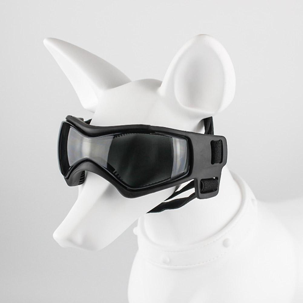 Conjunto de casco con gafas para mascotas, divertido gorro de motocicleta para perros pequeños y medianos, Bulldog Francés, accesorios de disfraces de verano