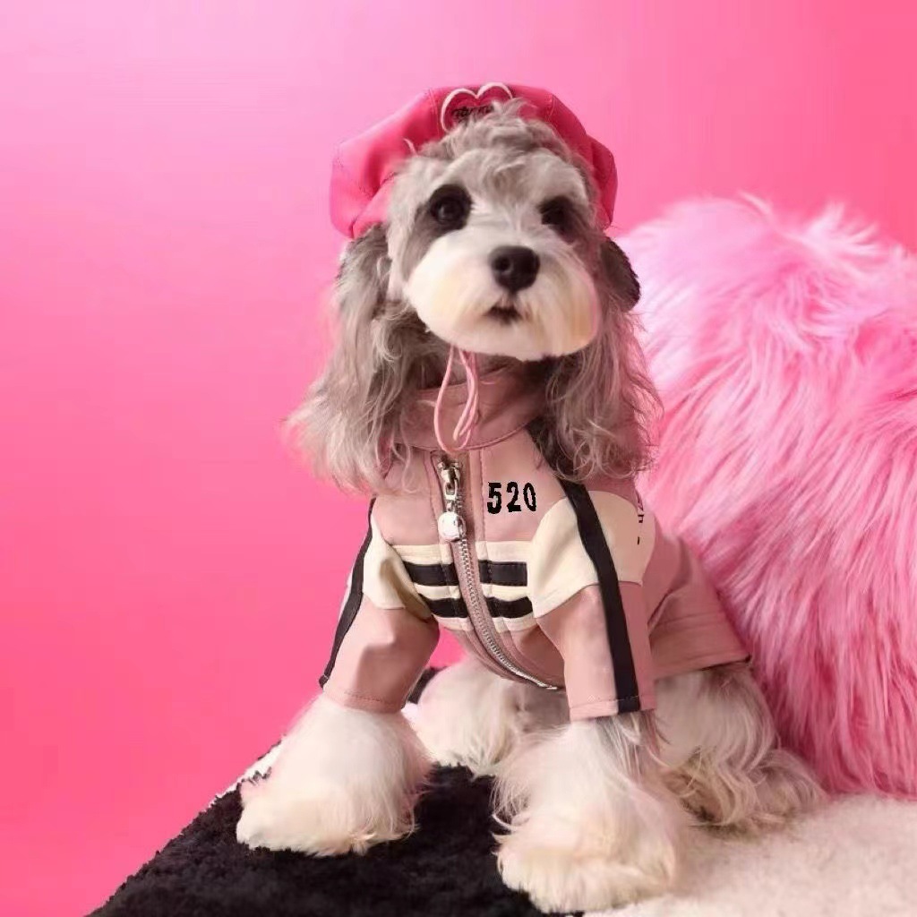 Jesienna i zimowa odzież dla psów Kurtka Yorkshire Sznaucer Miś Płaszcz dla psa Ubrania dla szczeniąt Projektant ubrań dla psów Płaszcz zimowy