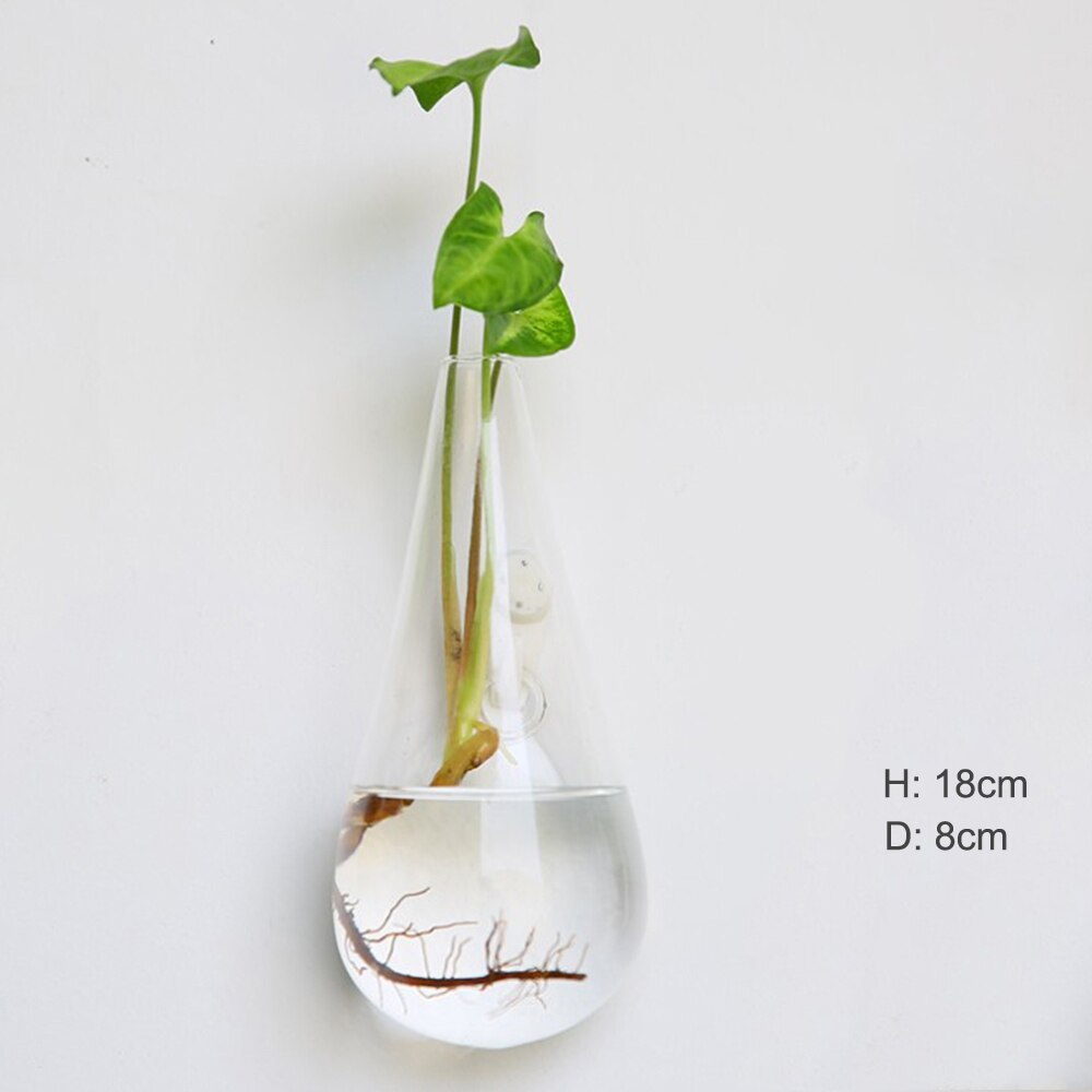 Vase à Fleurs en Verre Suspendu au Mur, à la , Terrarium Mural, Aquarium, Conteneur, Pots de Décoration de Jardin, pour la Maison: 8