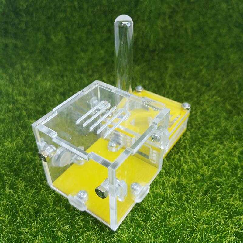 Gelb Ameise Bauernhof Palme Nest Neue Hinten Flugzeug Acryl Nest Ameise Werkstatt Haustier Ameise Reptil Terrarium
