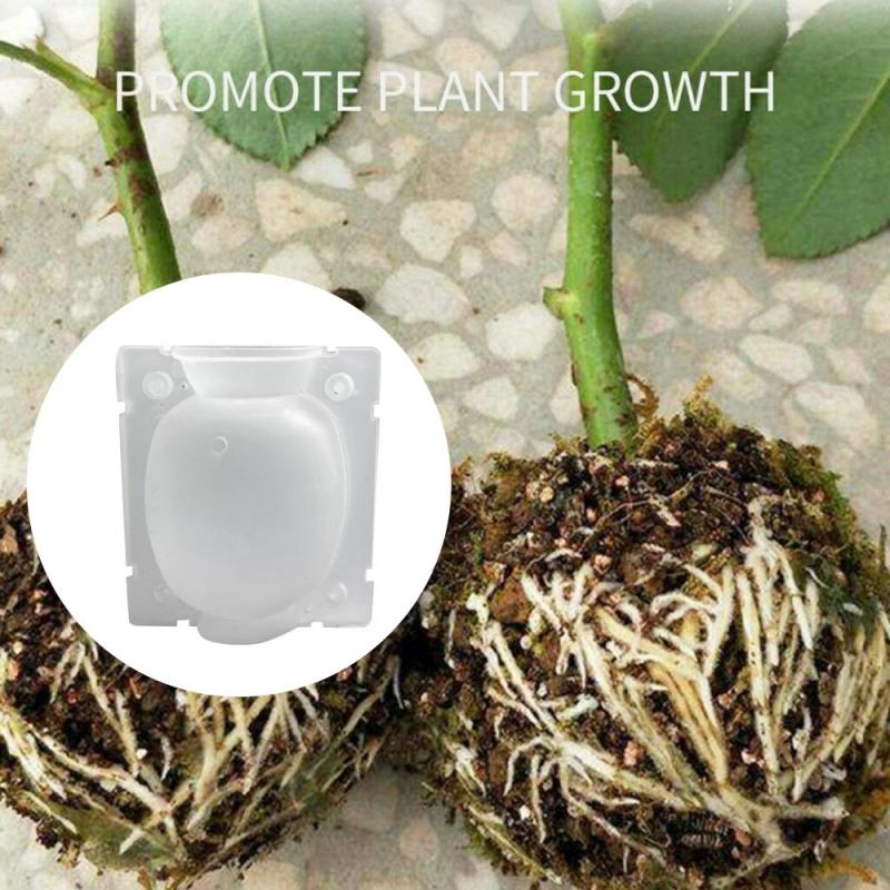 12/8/5Cm Plant Enten Doos Enten Wortel Groei Teelt Doos Plantenwortels Systeem Tuin Hoge Druk box Tuin Tool