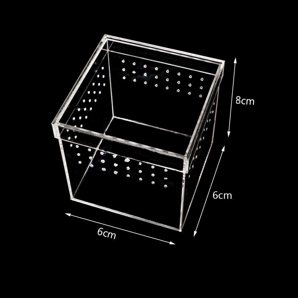 Plastic Reptiles Living Box Transparent Reptile Terrarium Habitat For Scorpion Spider Ants Lizard Breeding Feeding Cases