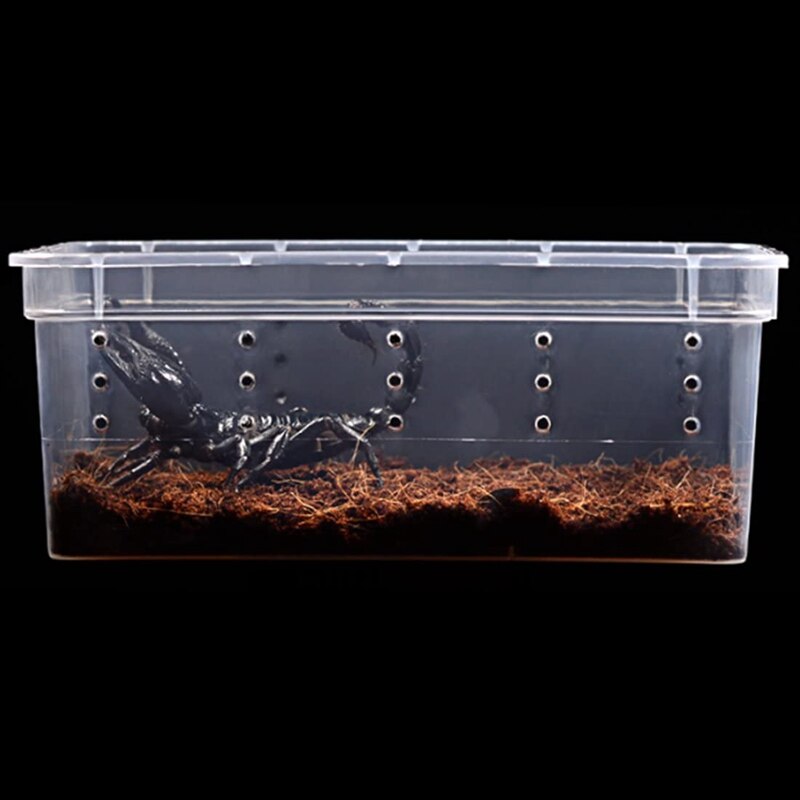Breeding Box 8Pcs Worm Dish Reptile Feeding Box Food Container Small Size Transparent