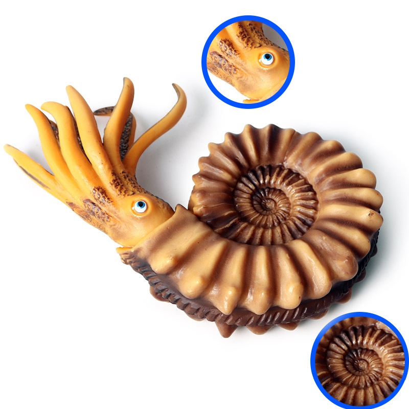 FBIL-Simulatie Mariene Leven Model Schelp Nautilus Shell Pop Decoratie