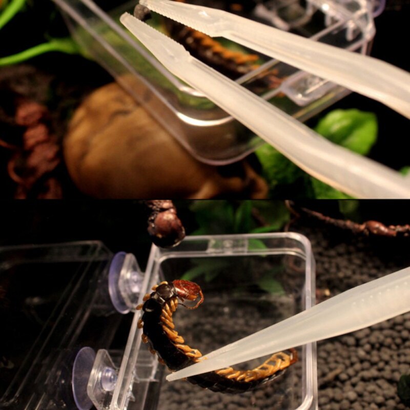 Lichtgevende Huisdier Tang Pincet Voeden Tang Voor Reptiel Slang Lizard Spider Amfibieën Slang Schildpad Cricket Voeden Benodigdheden