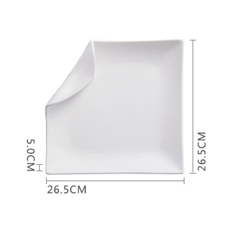 Ceramic Dinner Plates Pasta Steak Plates Irregular Shape Tableware Vegetable Dish Restaurant Snack Pastry Desserts Tray: 10.5 inch