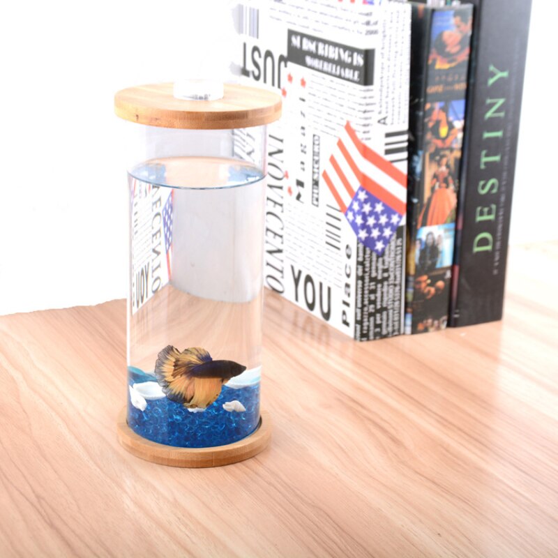 DIY Pattern Ecological Bottle Fish Micro Landscape Aquarium Small Fish Living Bucket Desktop Small Fish Tank