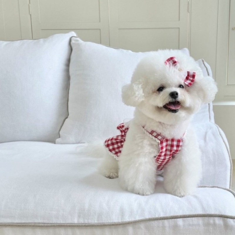 Pet Garden Style Retro prinsessenjurk Rode geruite hondenjurk met borst en rug kan worden getrokken en kleine huisdierjurk voor de zomer