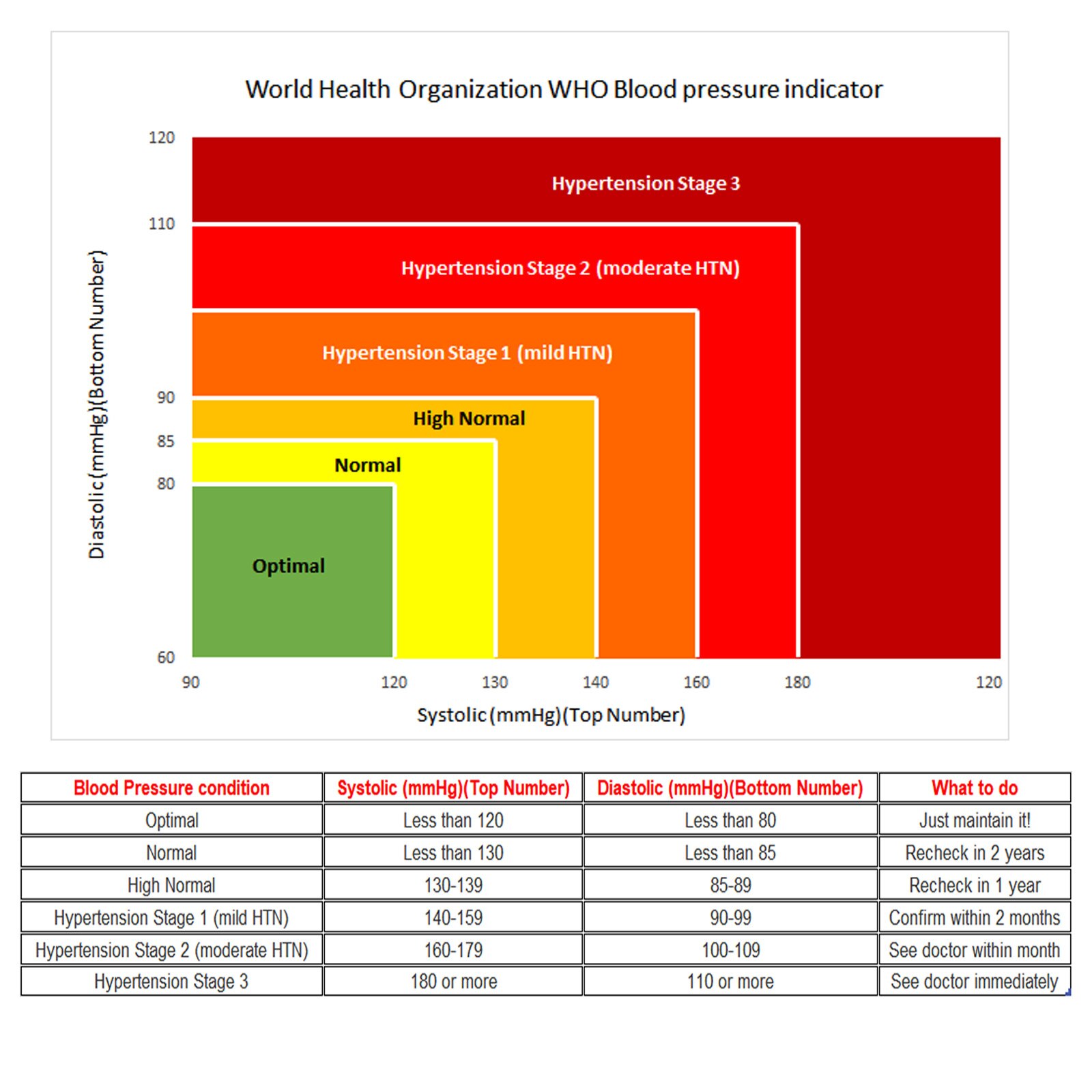 Auto Digital Upper Arm Blood Pressure Monitor Larg... – Vicedeal