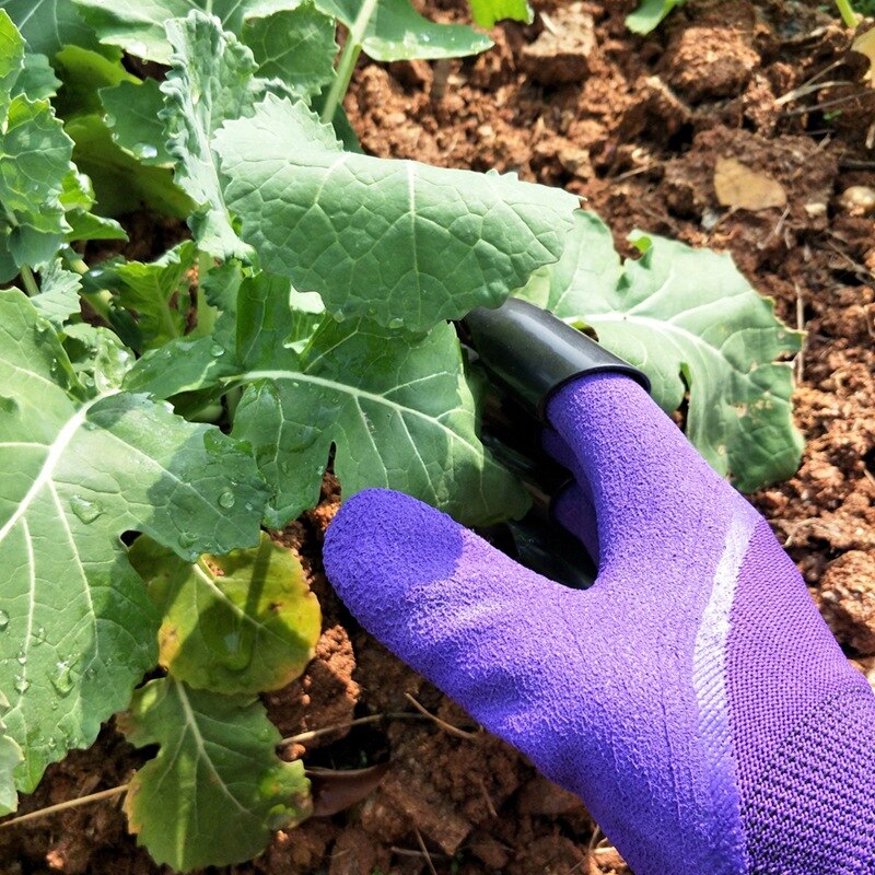 2 Paar Gefütterte Spülhandschuhe Mit Lavendelduft - Lange Ärmel Für Küche & Haushalt